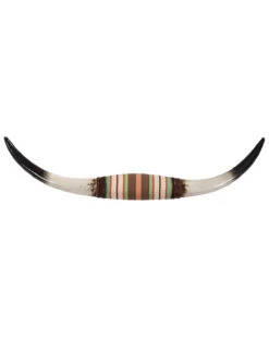 HiEnd Accents Serape Longhorn Wall Decor