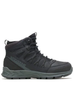 Western Desert Shop -Western Desert Shop 2000334097 001 P2