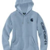Carhartt Women's Clarksburg Logo Graphic Hoodie -Western Desert Shop 2000369256 450 P1