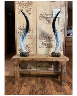 Shawnee Trading Post Mounted Genuine Longhorn Stands On Cowhide Base