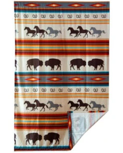 Carsten Home Western Stripe Curtain Panels -Western Desert Shop 2000394041 900 P4