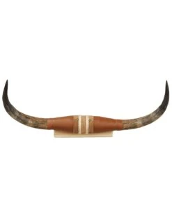 Authentic Small Steer Horns