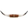 Shawnee Trading Post Authentic Medium Steer Horns -Western Desert Shop 284549 22 P1