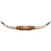 Authentic Large Steer Horns -Western Desert Shop 284550 22 P1