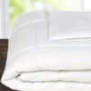HiEnd Accent White Down Duvet Insert, Queen -Western Desert Shop 28479K 01 P1