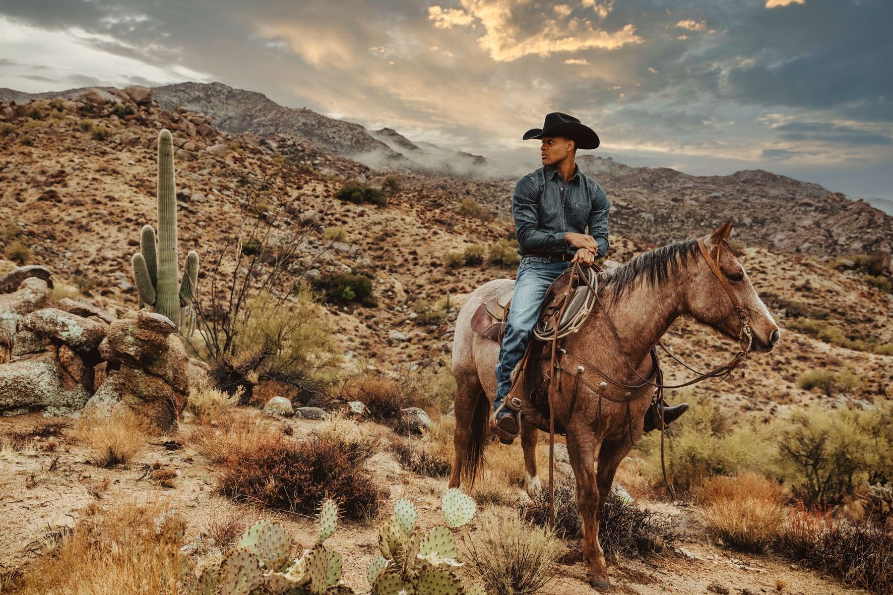 Western Desert Shop -Western Desert Shop